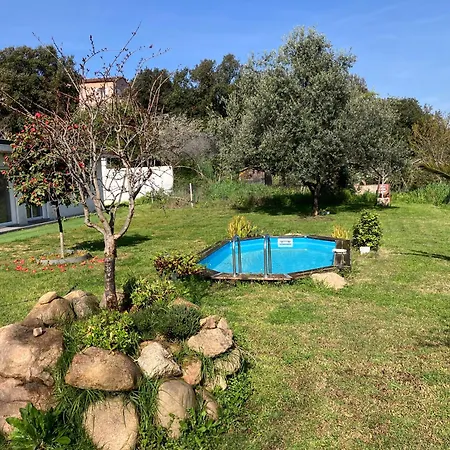 Piscine Porticcio Villa