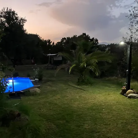Piscine Porticcio Villa *